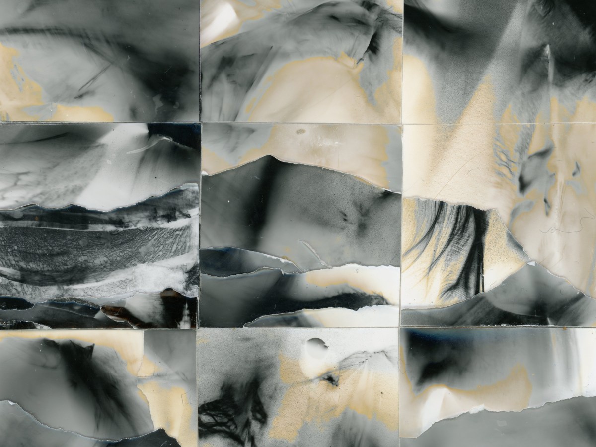 ’To let them decay – to break down and reveal&nbsp;themselves’