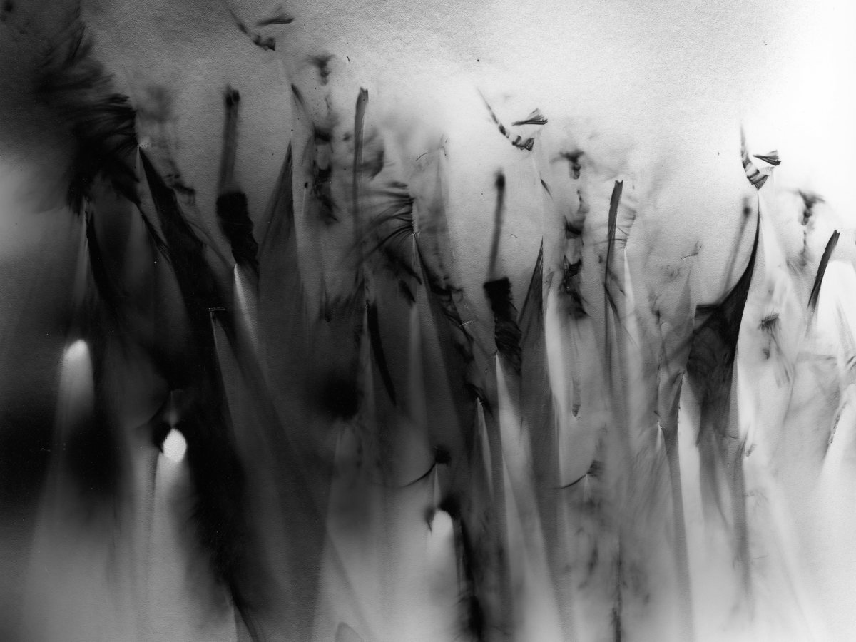 ’A Source of Marvellous&nbsp;Accidents’