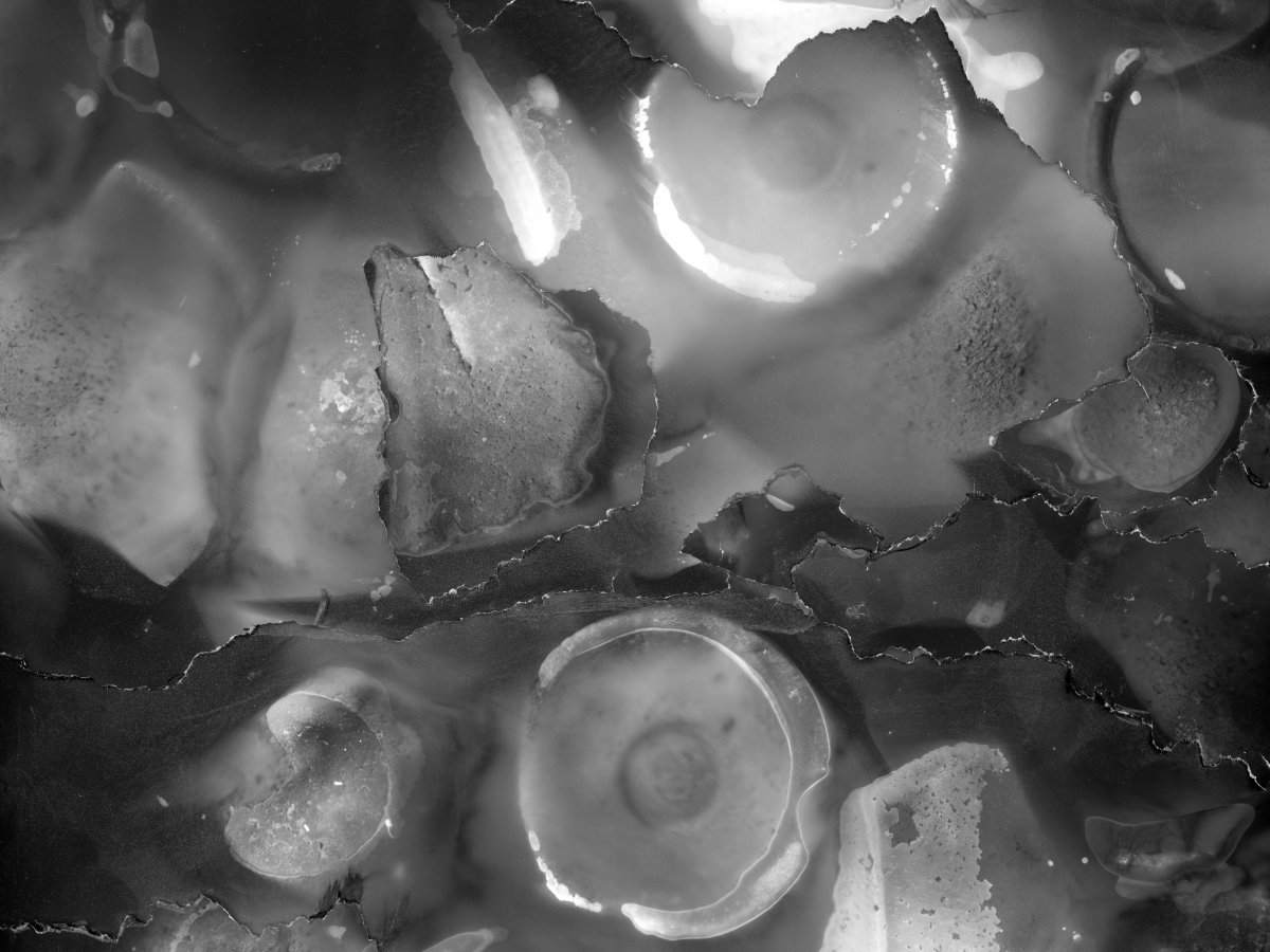 ’With boots poulticed in noxious&nbsp;slop’