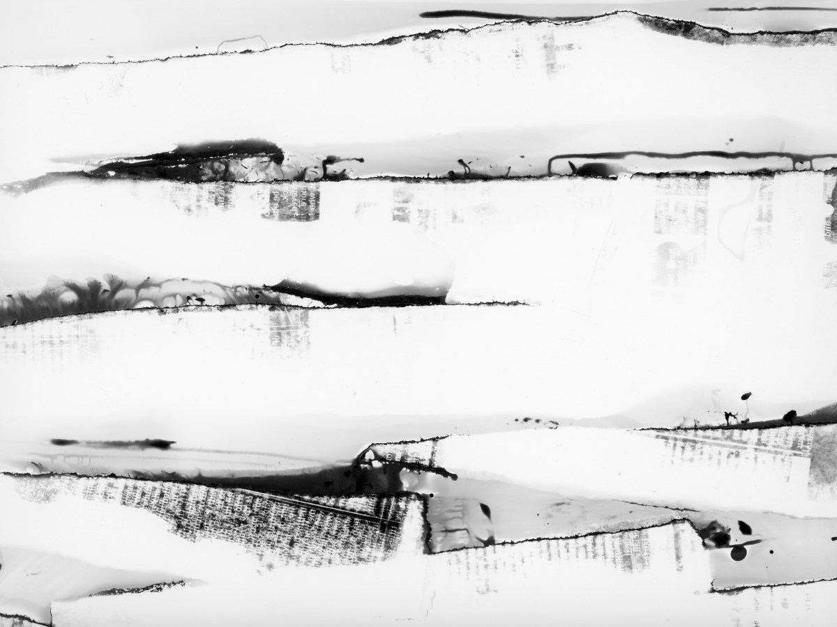 ’White, great eviscerator’